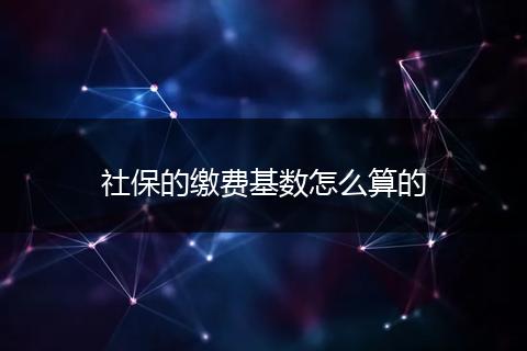 社保的缴费基数怎么算的