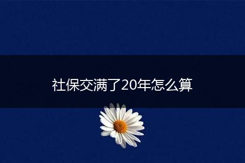 社保交满了20年怎么算