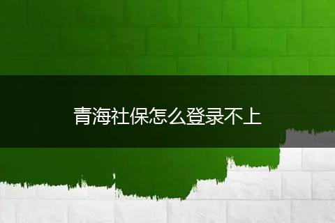 青海社保怎么登录不上