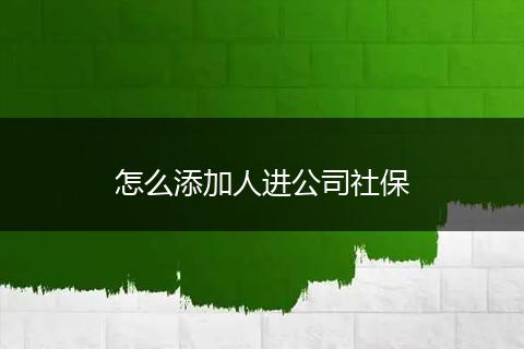 怎么添加人进公司社保