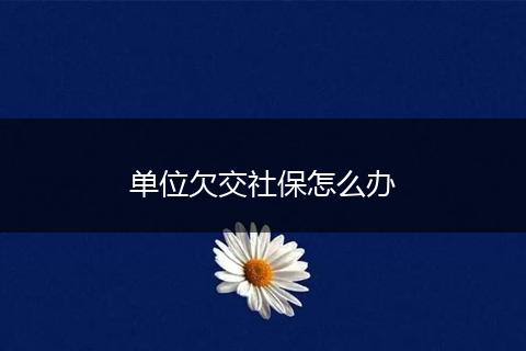 单位欠交社保怎么办