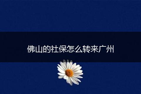佛山的社保怎么转来广州