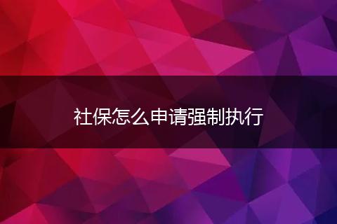 社保怎么申请强制执行