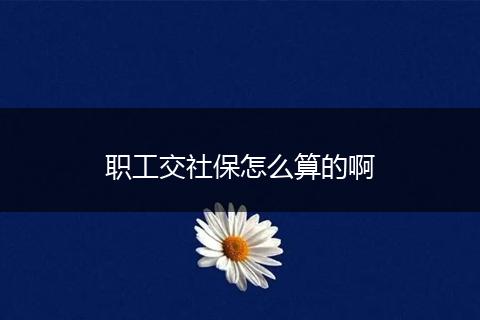 职工交社保怎么算的啊