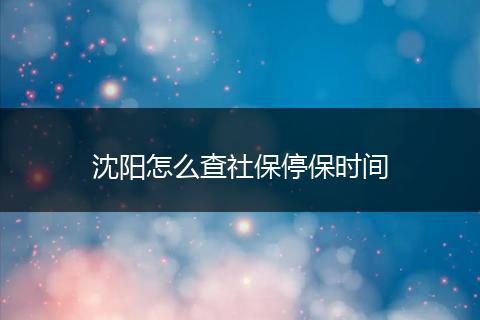 沈阳怎么查社保停保时间