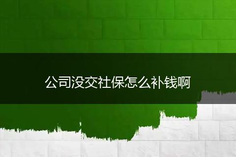 公司没交社保怎么补钱啊