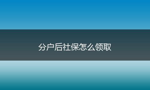分户后社保怎么领取