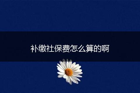 补缴社保费怎么算的啊
