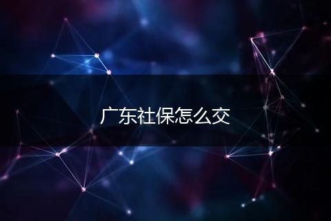 广东社保怎么交