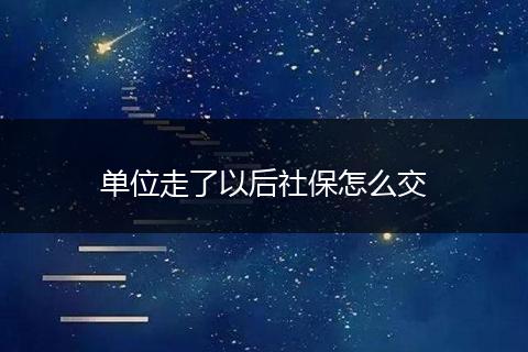 单位走了以后社保怎么交