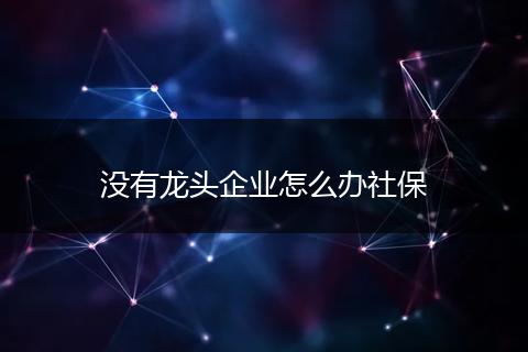 没有龙头企业怎么办社保