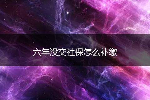 六年没交社保怎么补缴