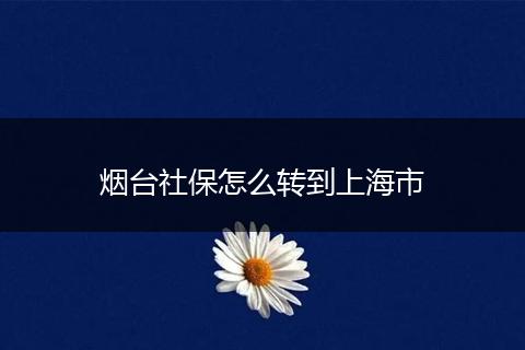 烟台社保怎么转到上海市