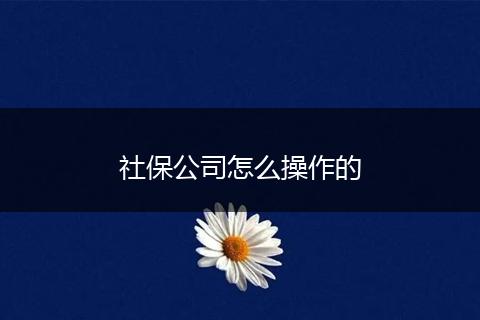 社保公司怎么操作的