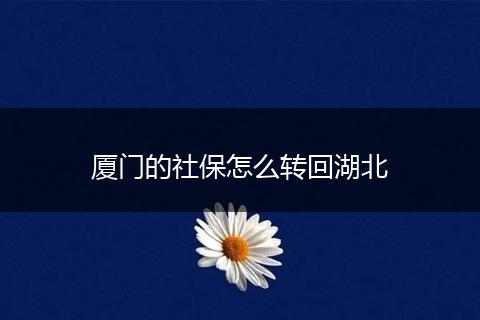 厦门的社保怎么转回湖北