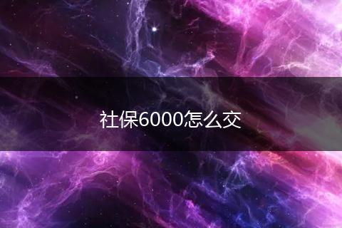 社保6000怎么交