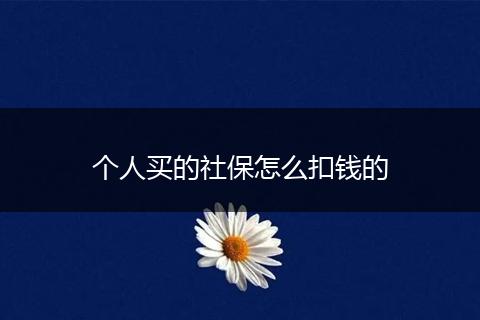 个人买的社保怎么扣钱的
