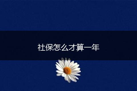 社保怎么才算一年