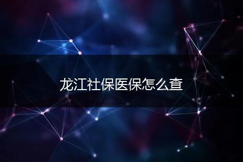 龙江社保医保怎么查