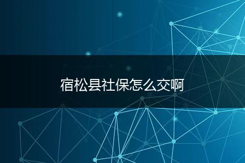 宿松县社保怎么交啊