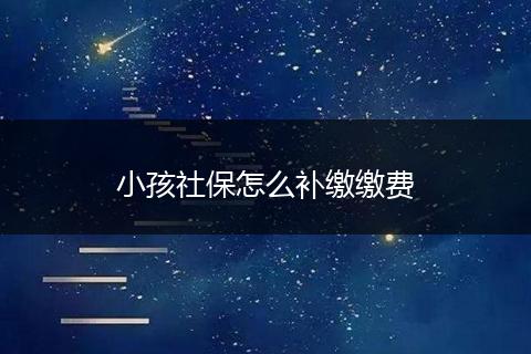 小孩社保怎么补缴缴费