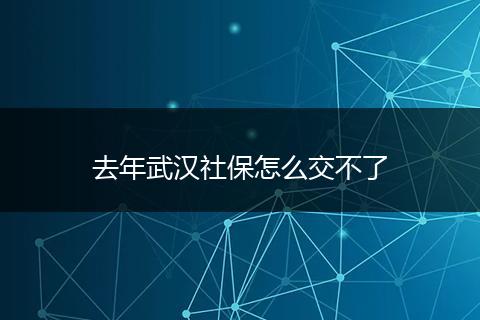 去年武汉社保怎么交不了