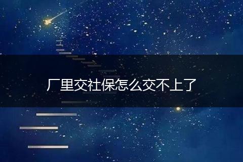 厂里交社保怎么交不上了