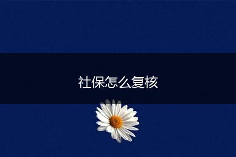 社保怎么复核