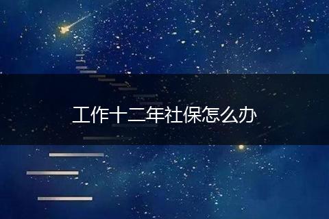 工作十二年社保怎么办