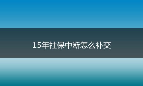15年社保中断怎么补交