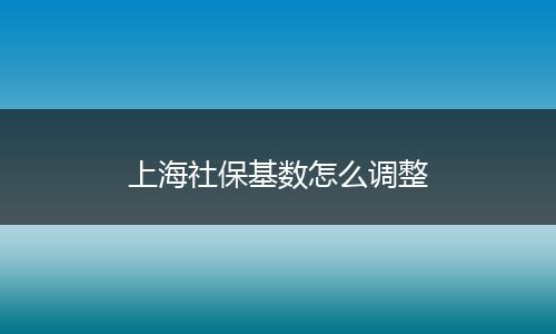 上海社保基数怎么调整