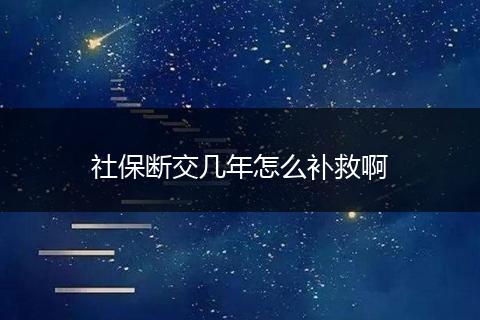 社保断交几年怎么补救啊