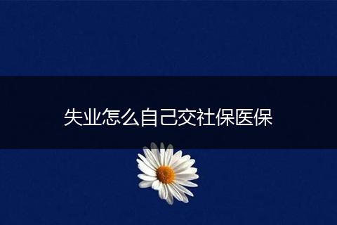 失业怎么自己交社保医保