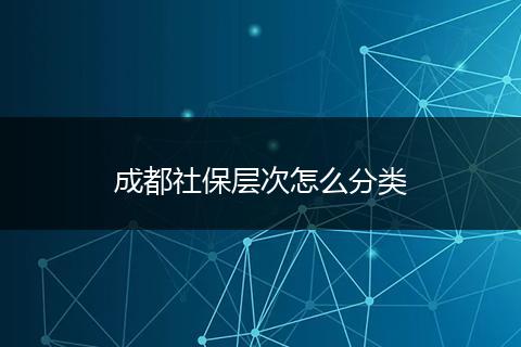 成都社保层次怎么分类