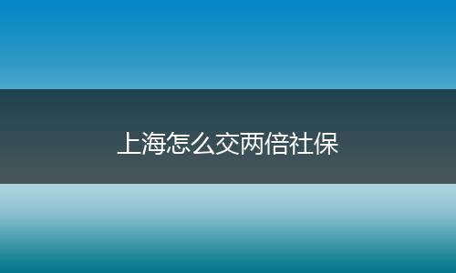 上海怎么交两倍社保