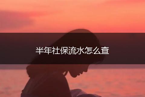 半年社保流水怎么查