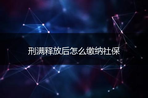 刑满释放后怎么缴纳社保