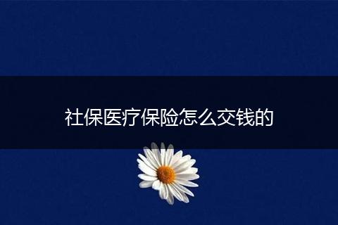 社保医疗保险怎么交钱的