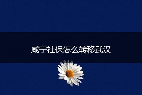 咸宁社保怎么转移武汉