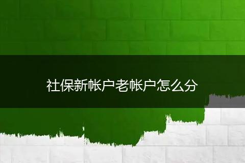 社保新帐户老帐户怎么分