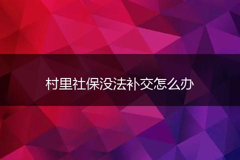 村里社保没法补交怎么办