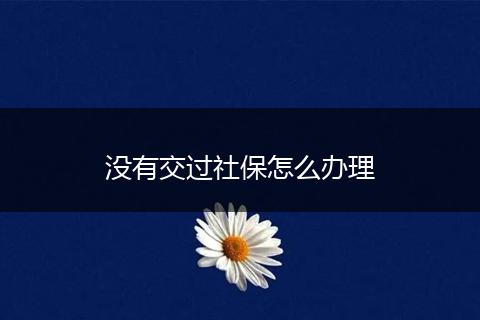 没有交过社保怎么办理