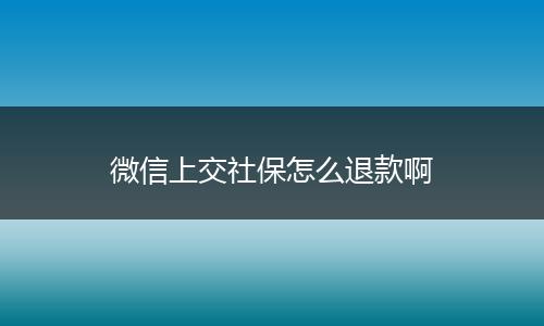微信上交社保怎么退款啊