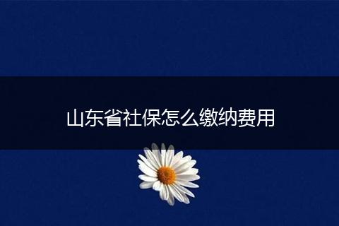 山东省社保怎么缴纳费用