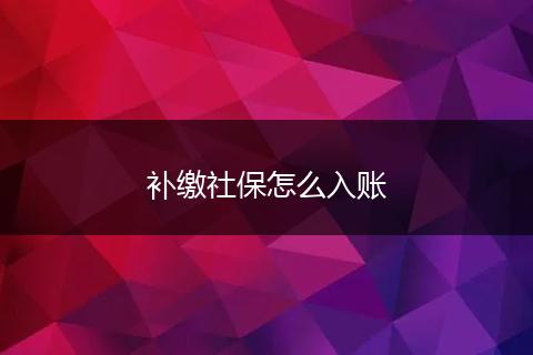 补缴社保怎么入账