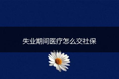 失业期间医疗怎么交社保