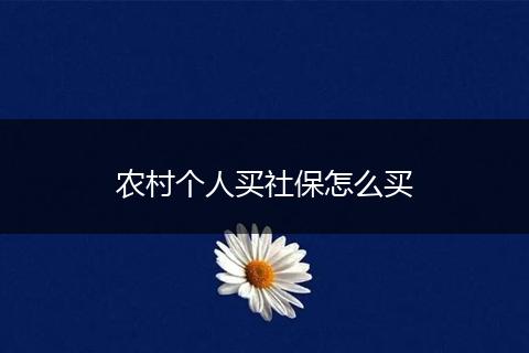 农村个人买社保怎么买