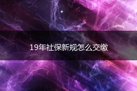 19年社保新规怎么交缴