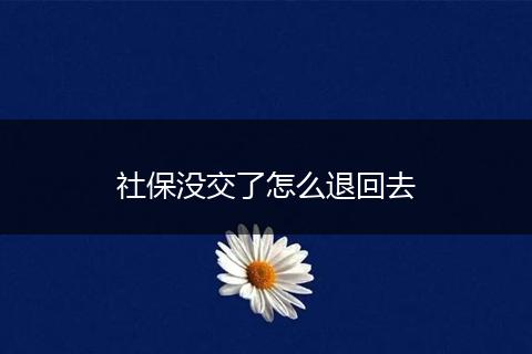 社保没交了怎么退回去