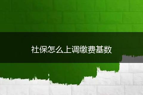 社保怎么上调缴费基数